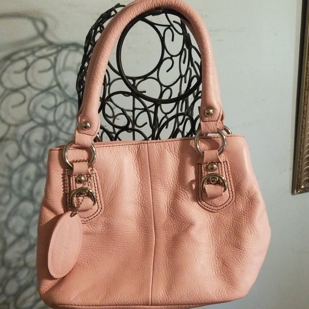 Pelle studio brand mini purse